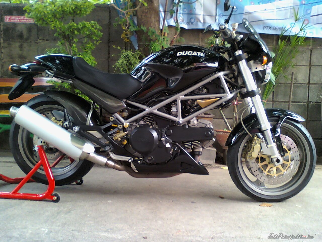 Photo 1685916