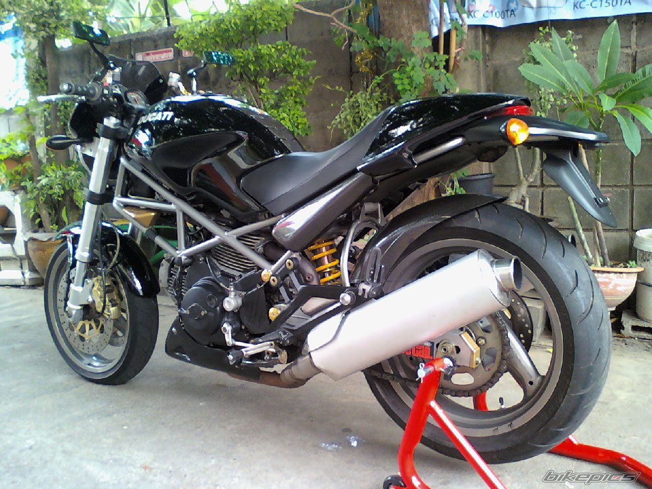 Photo 1685921