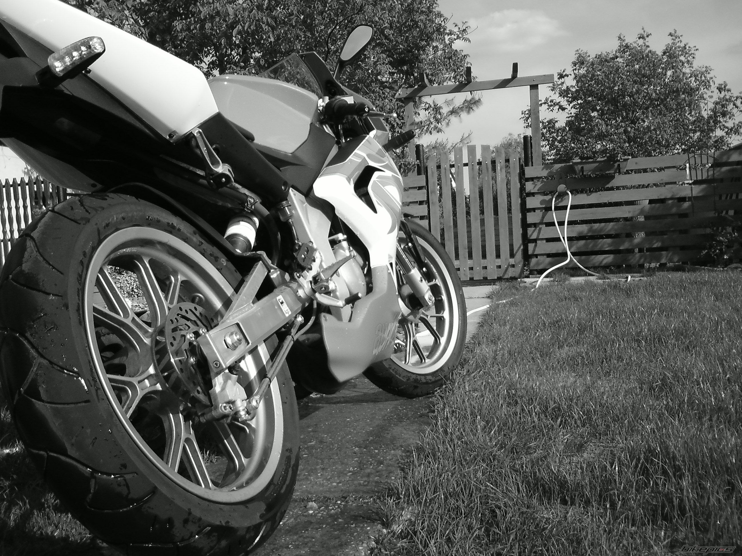 Photo 1686002