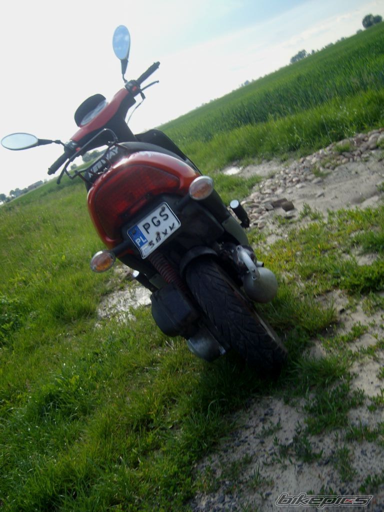 Photo 1686072