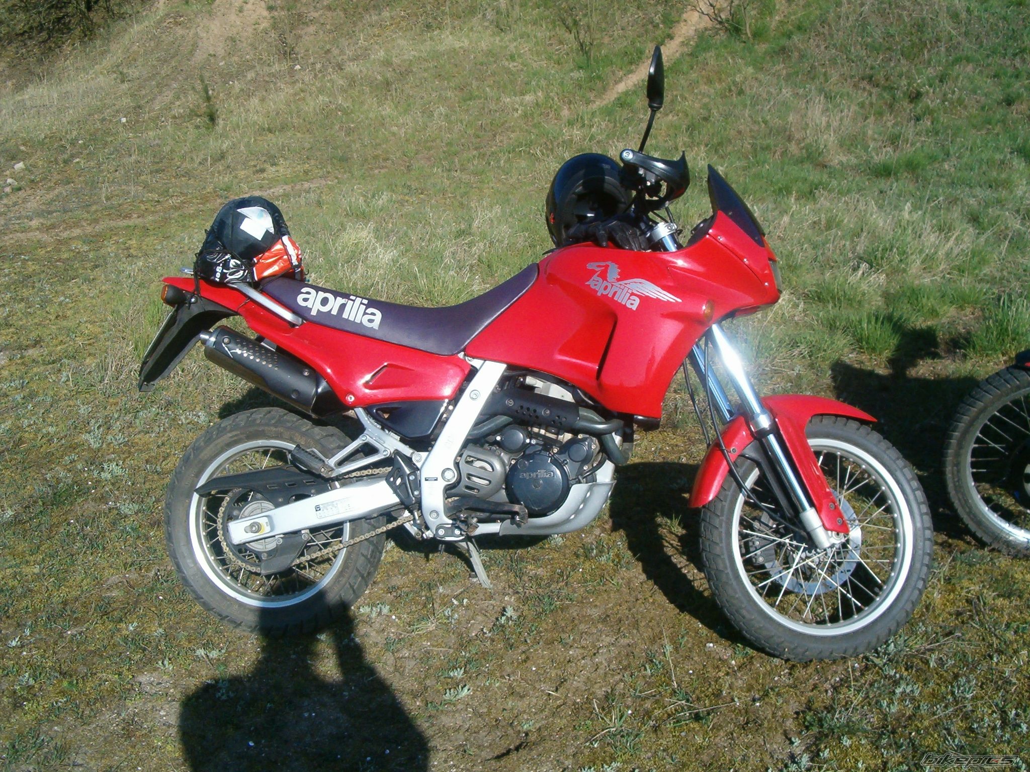Photo 1686133
