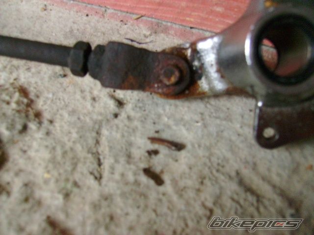 Photo 1686147