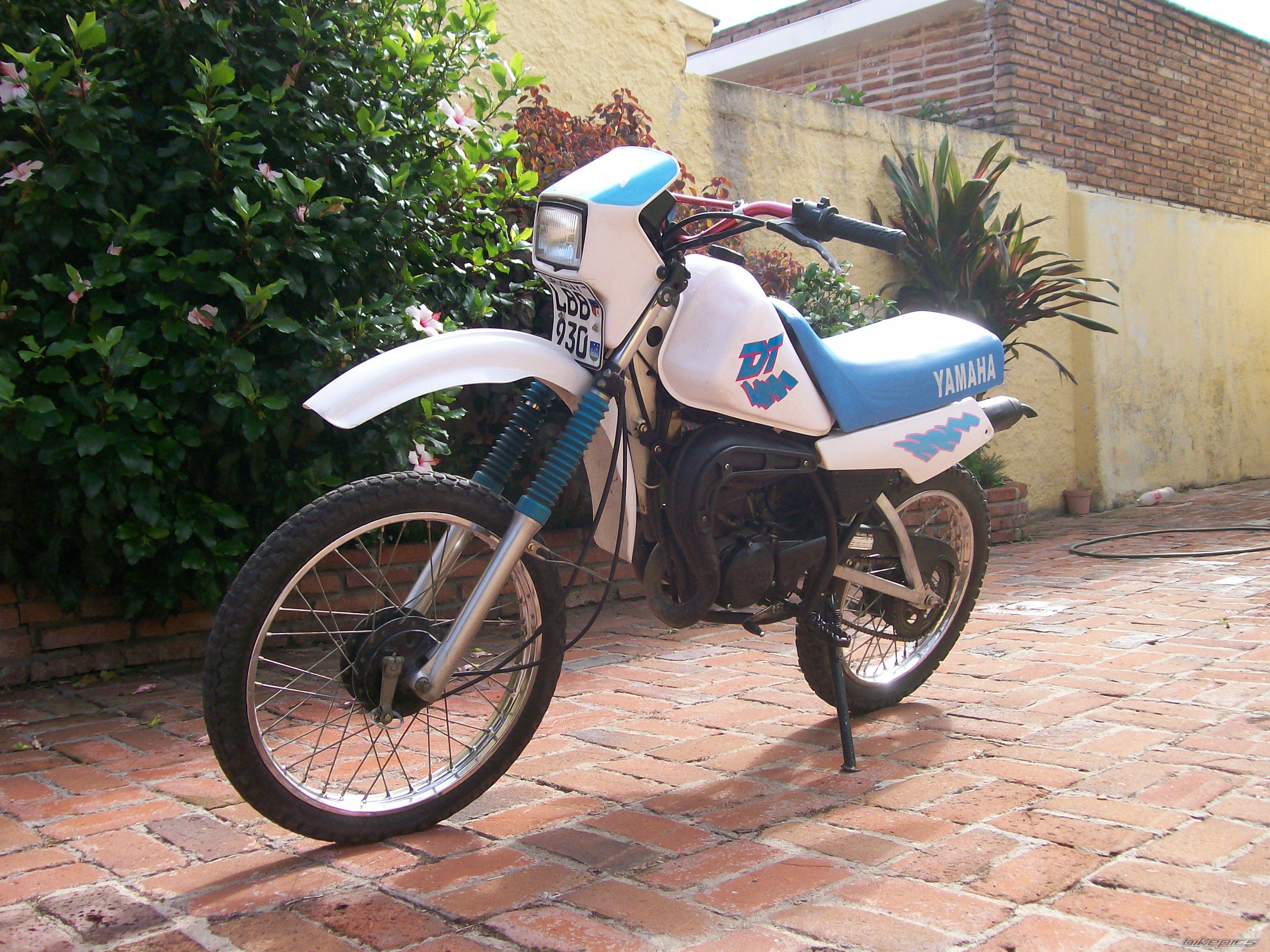 Photo 1686164