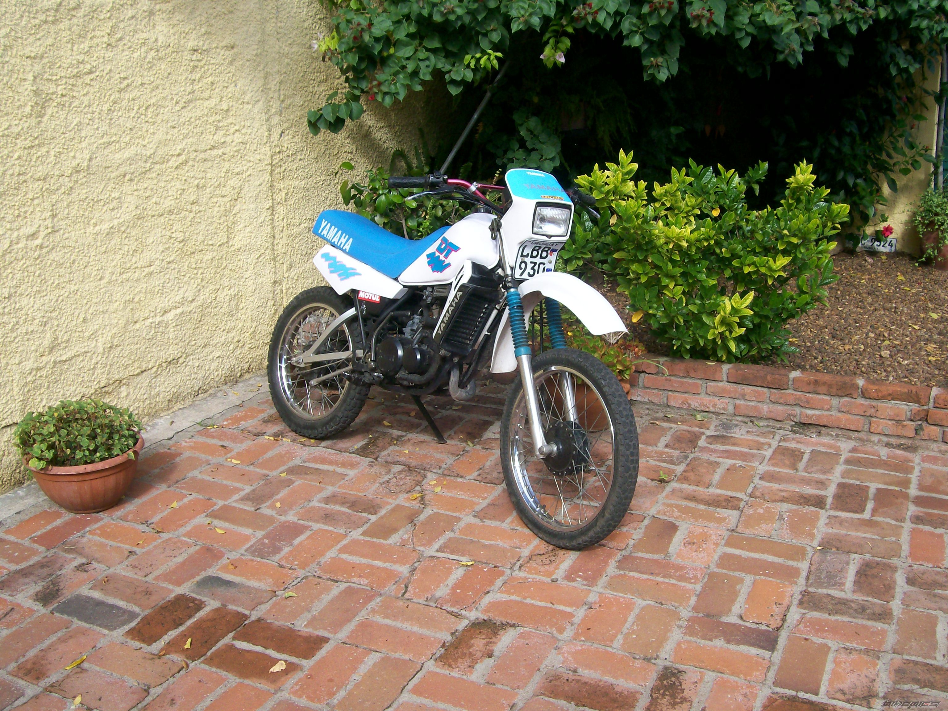 Photo 1686168