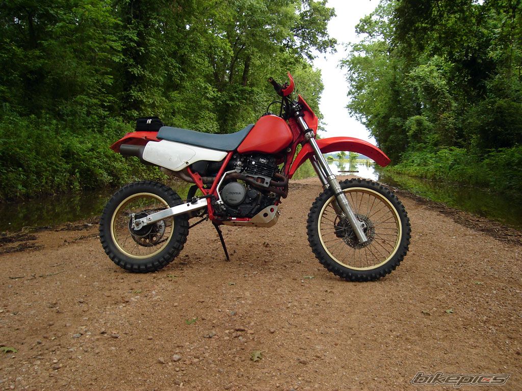 Bike Photo 1686185