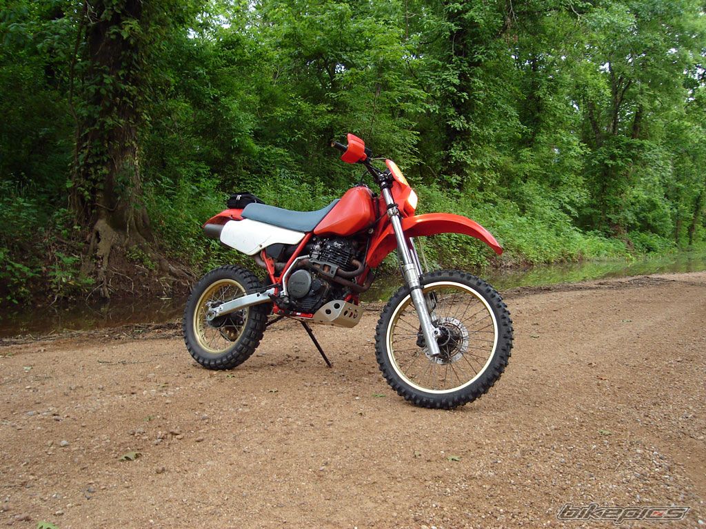Bike Photo 1686188