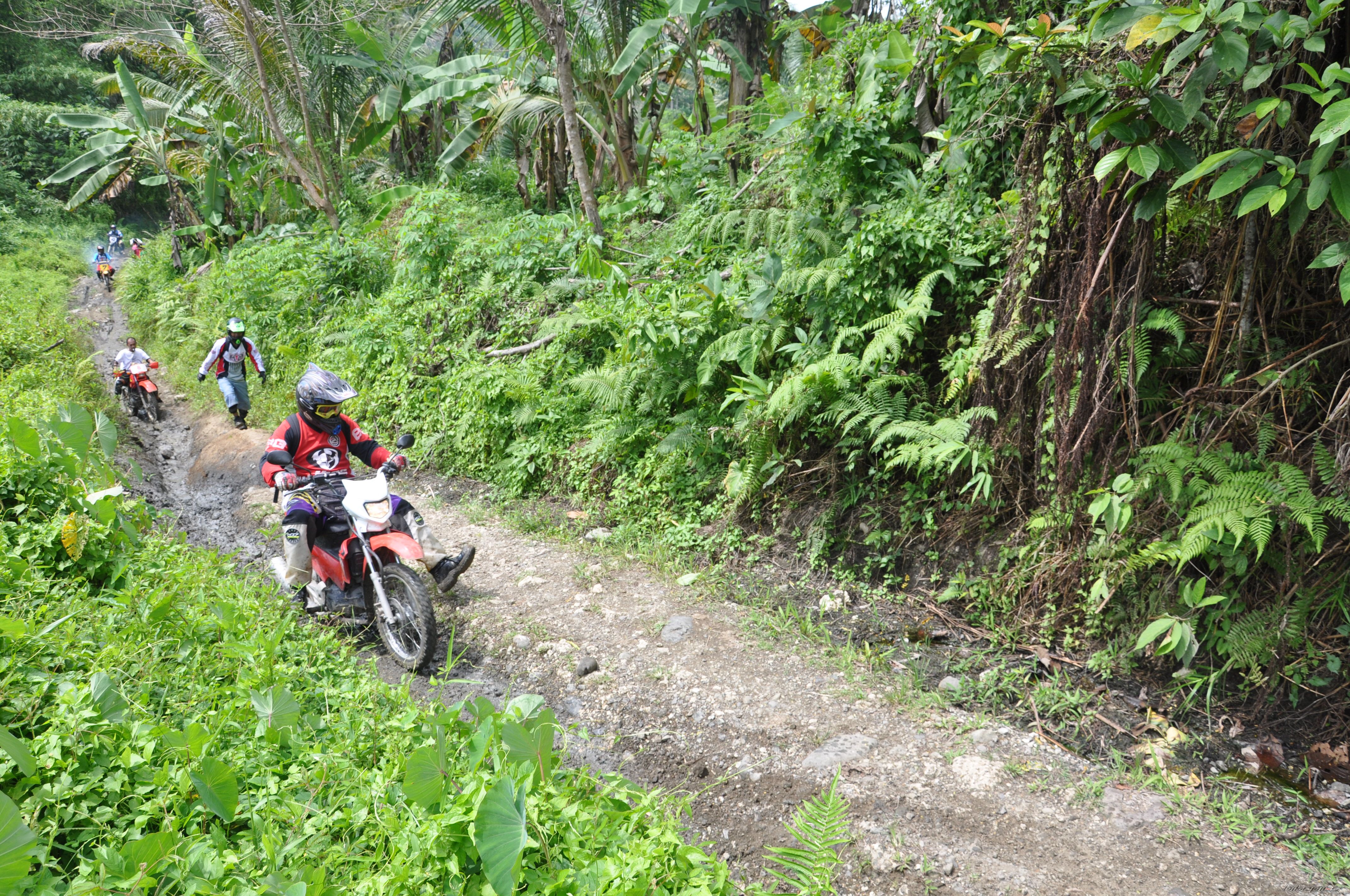 Bike Photo 1686333