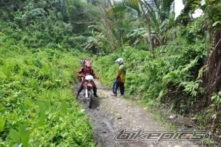 Bike Photo 1686334