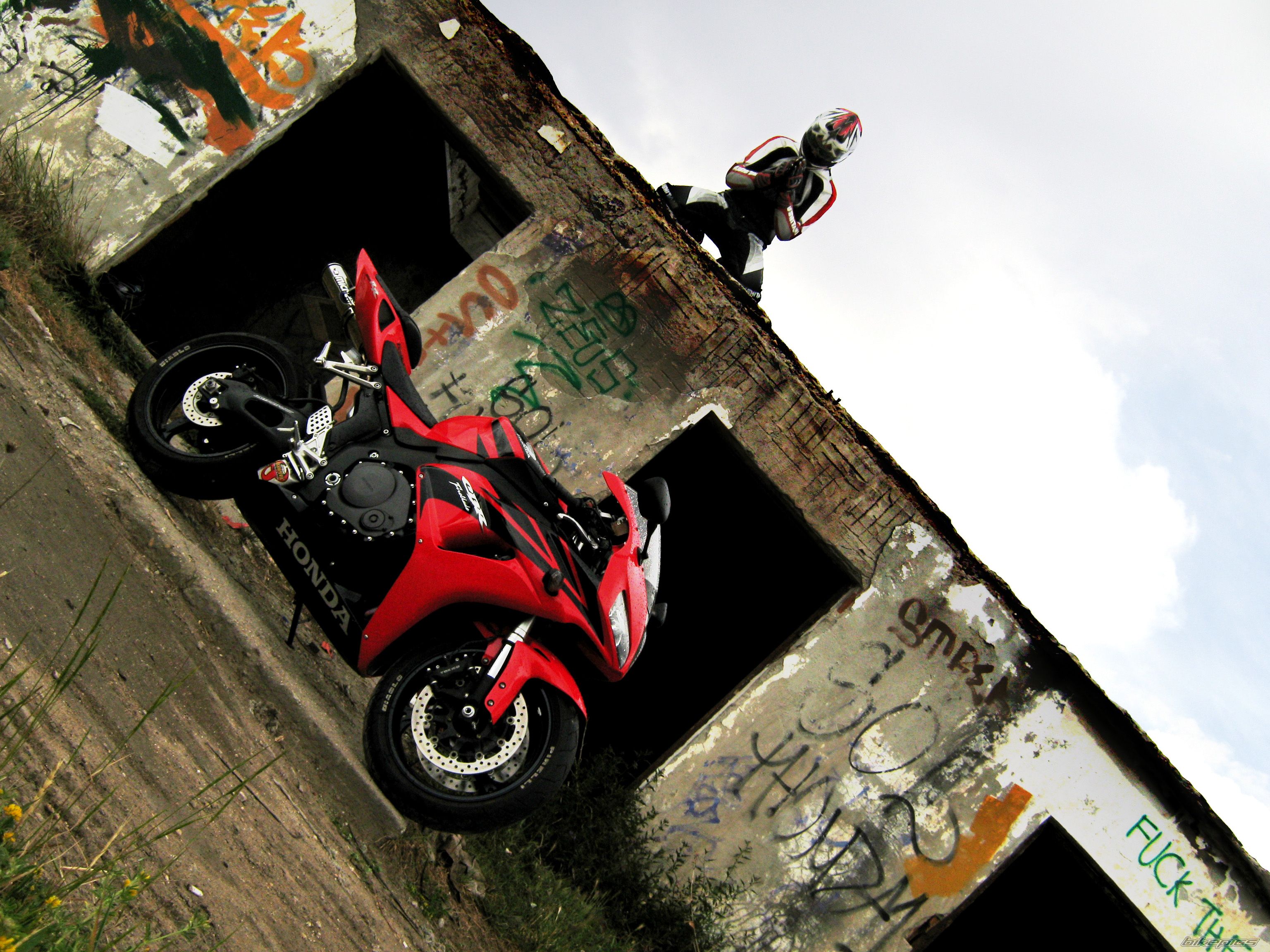 Photo 1686378