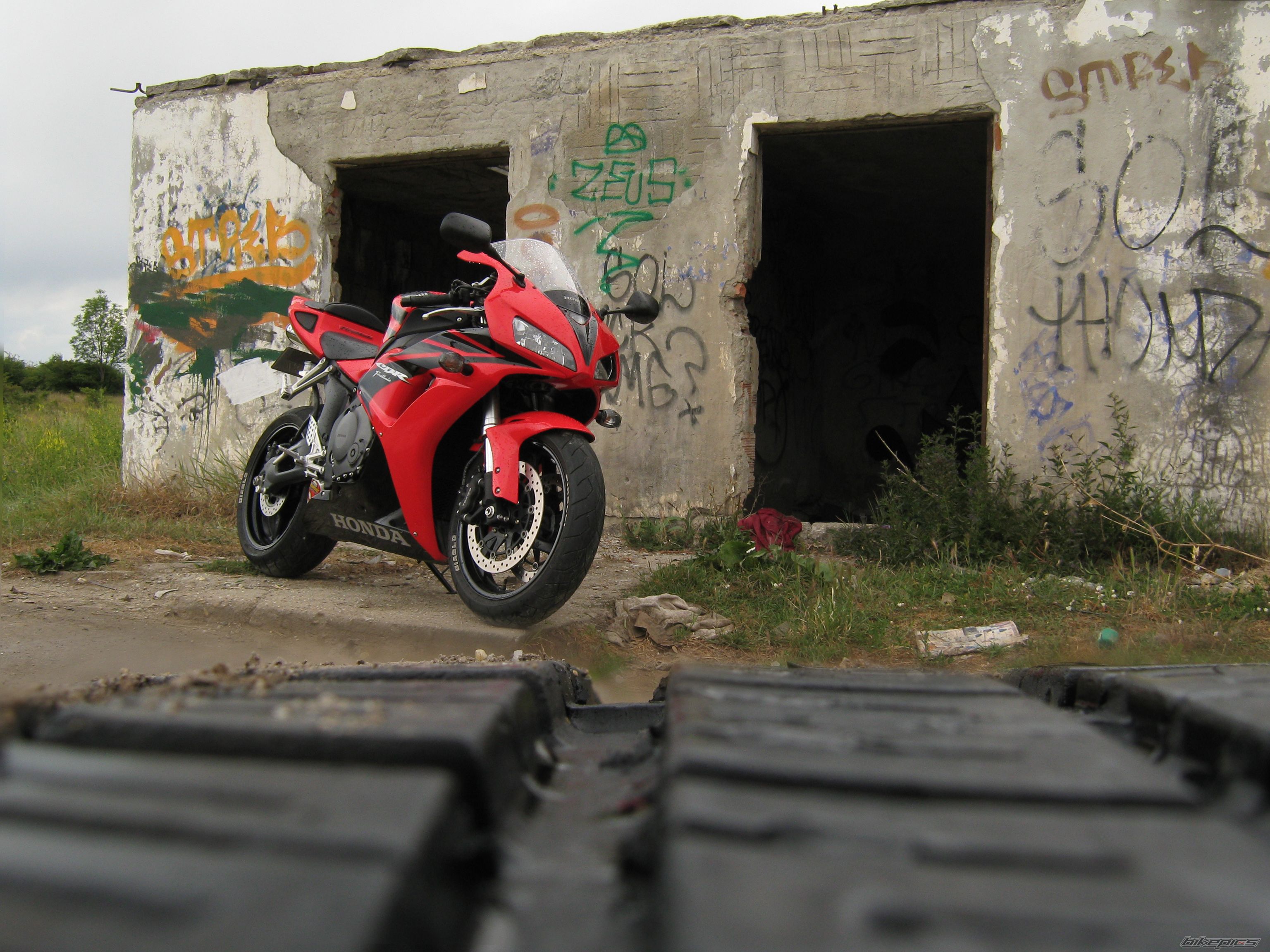 Photo 1686387