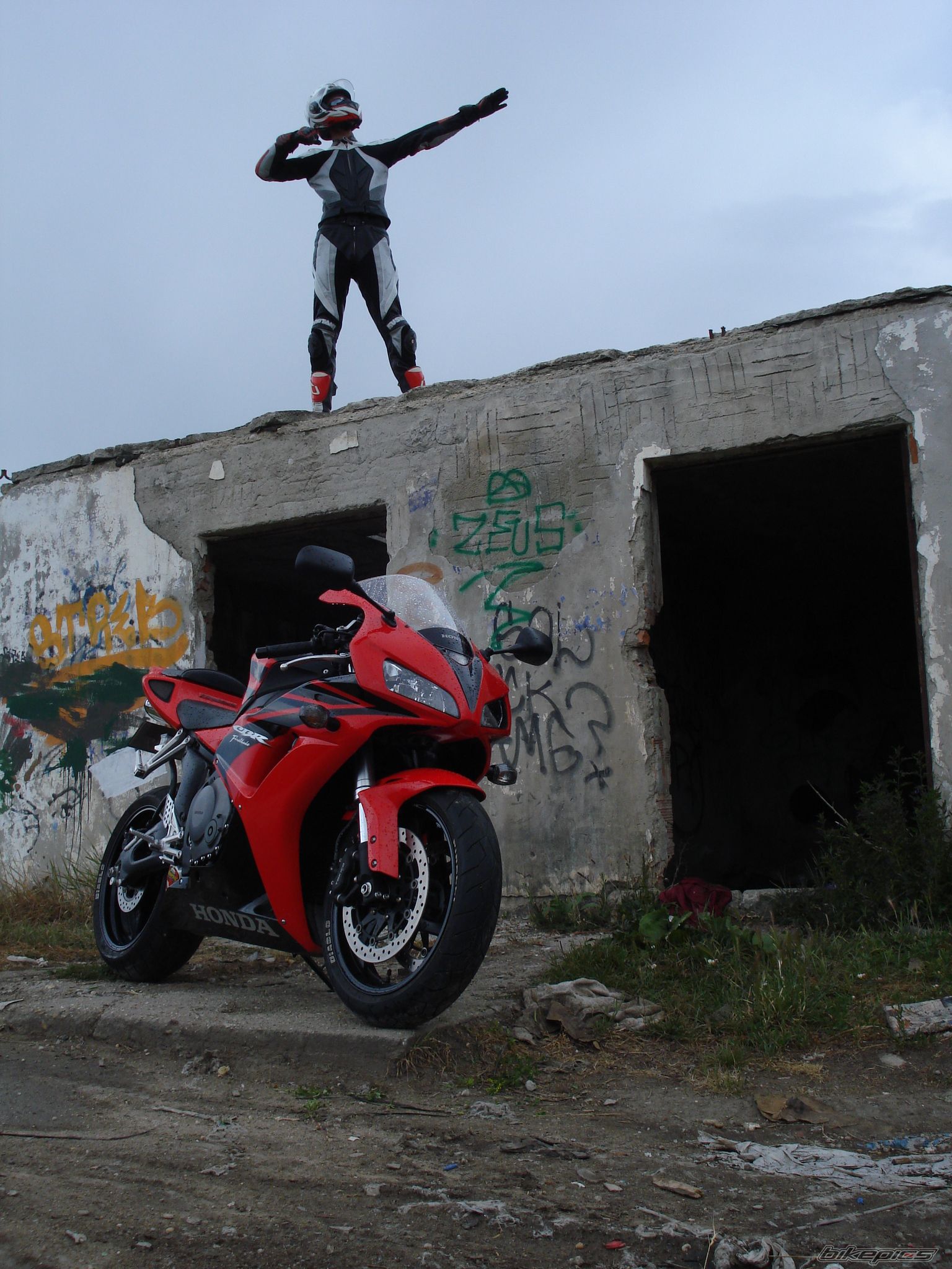 Photo 1686417