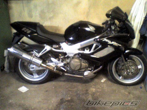 Photo 1686418