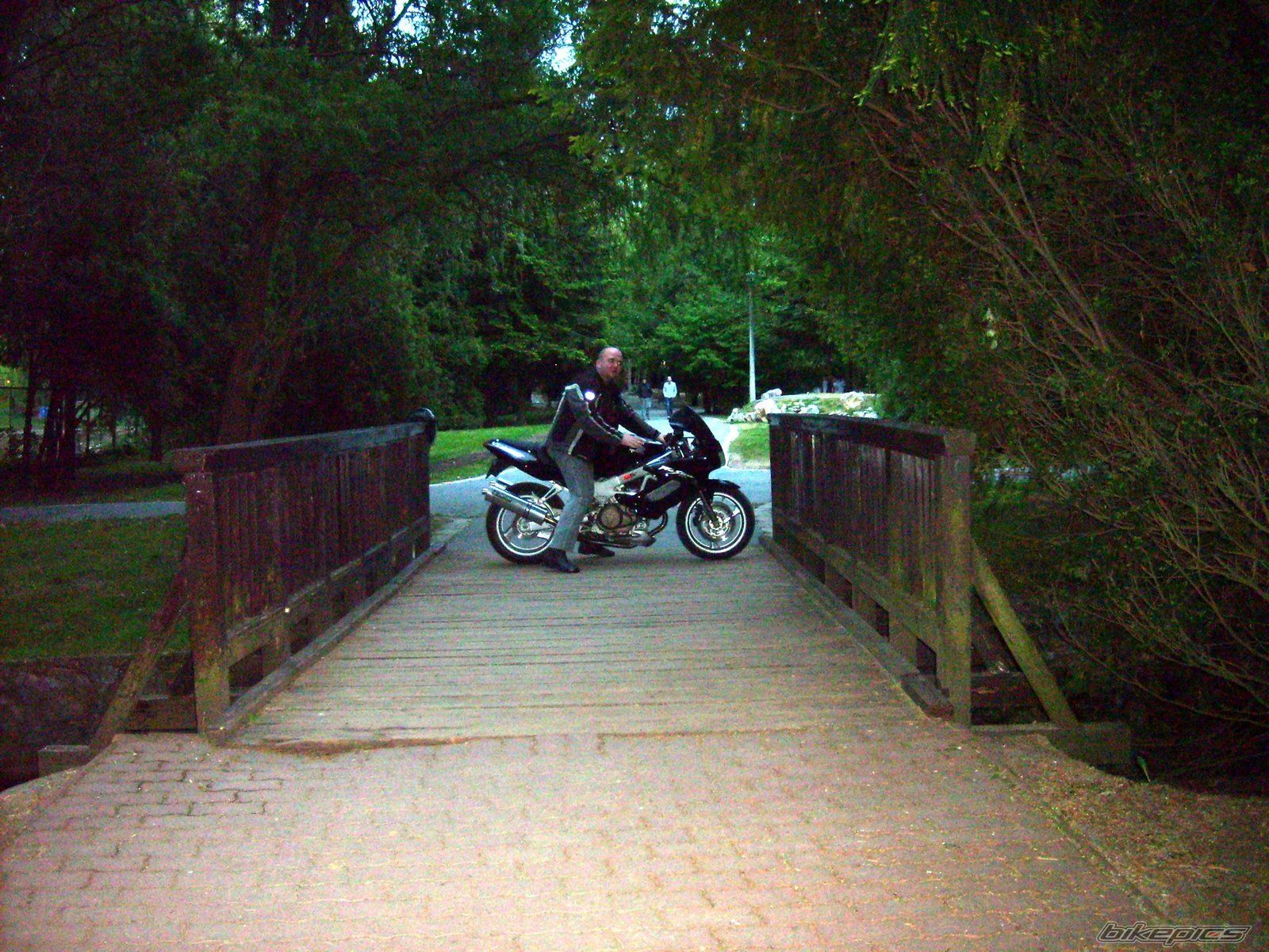 Photo 1686435