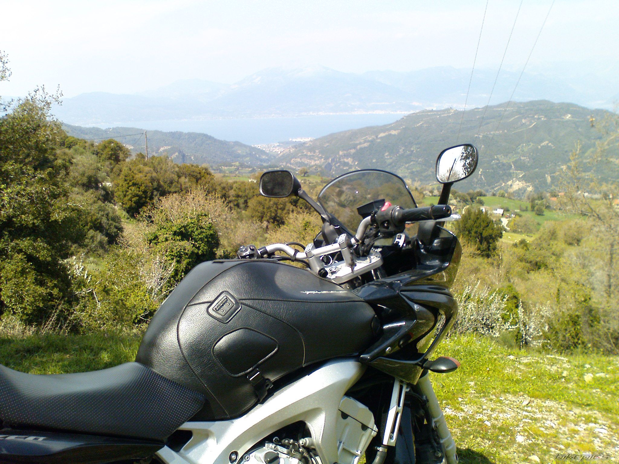 Photo 1686644
