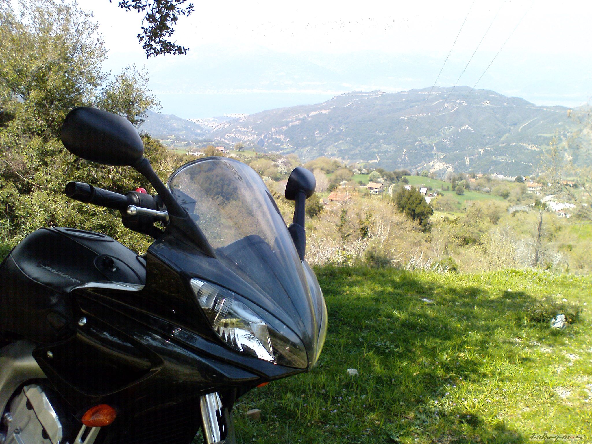 Photo 1686647