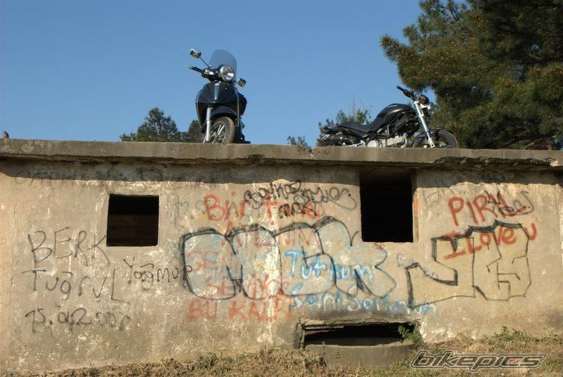 Photo 1686672