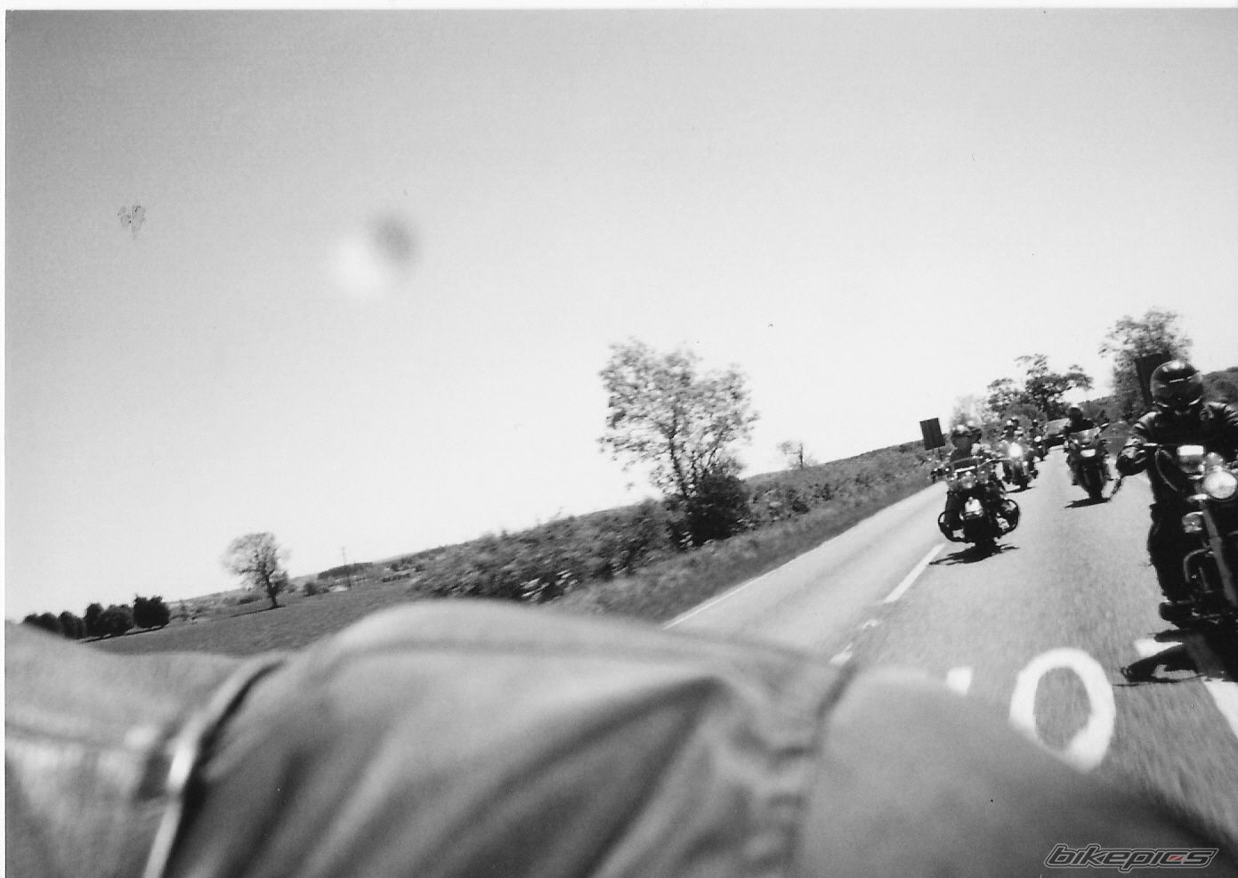 Photo 1686677