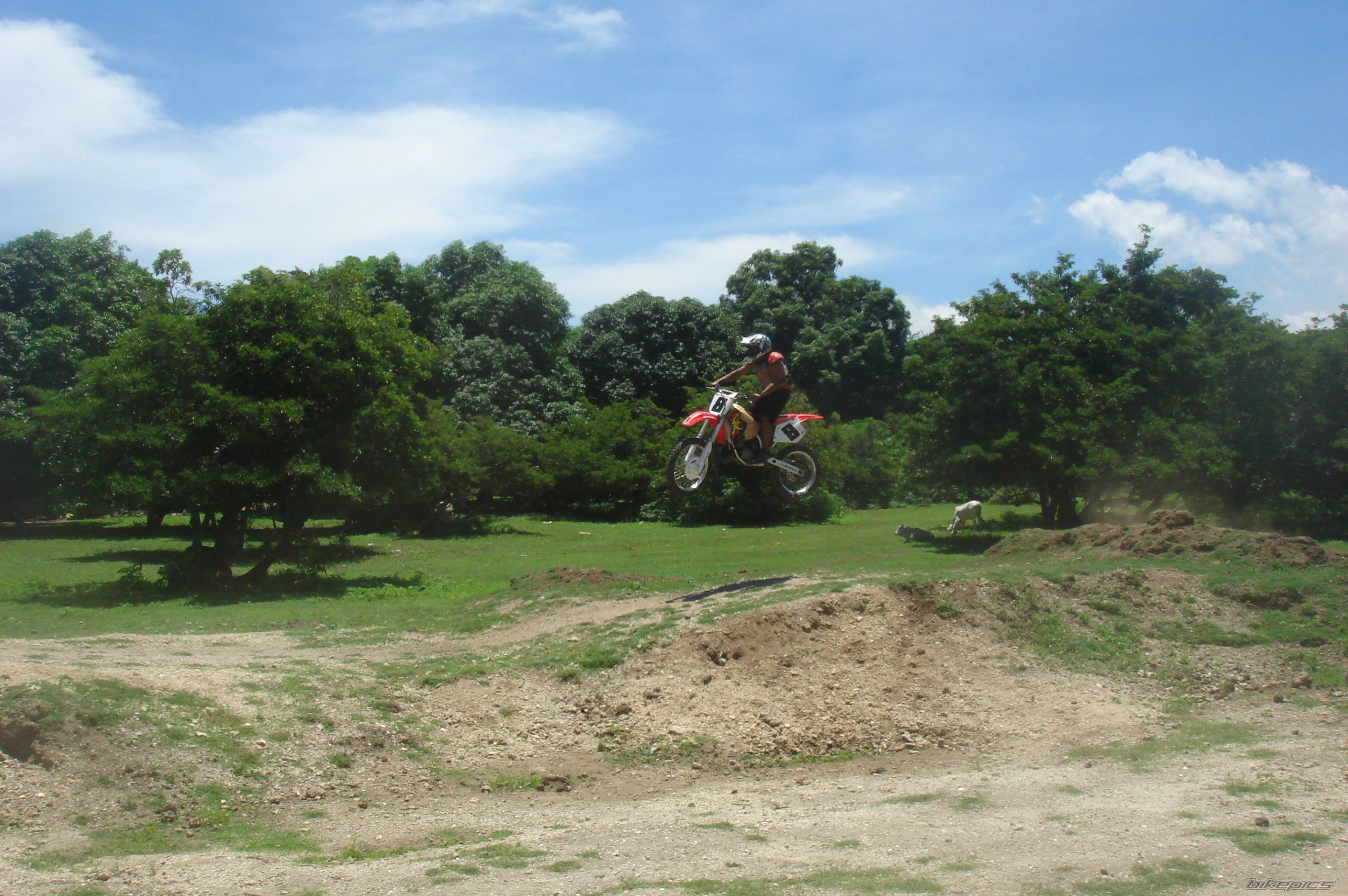 Bike Photo 1686687