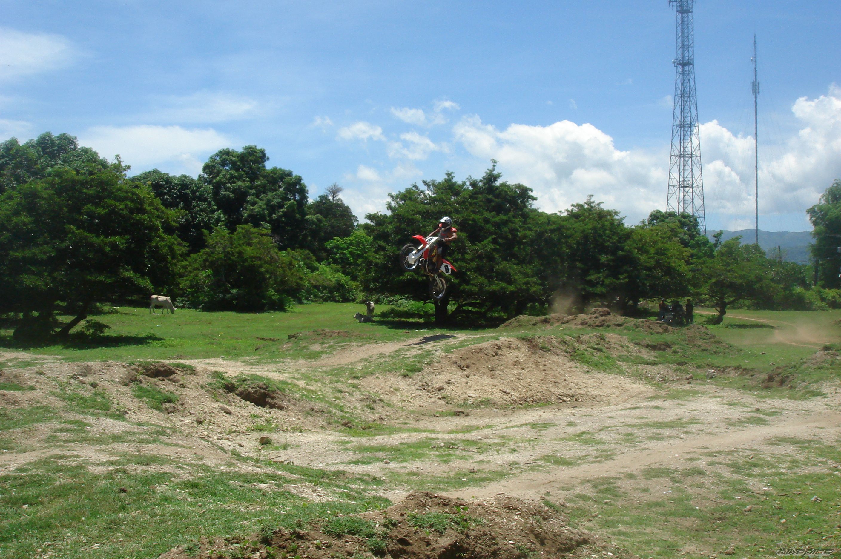 Bike Photo 1686693