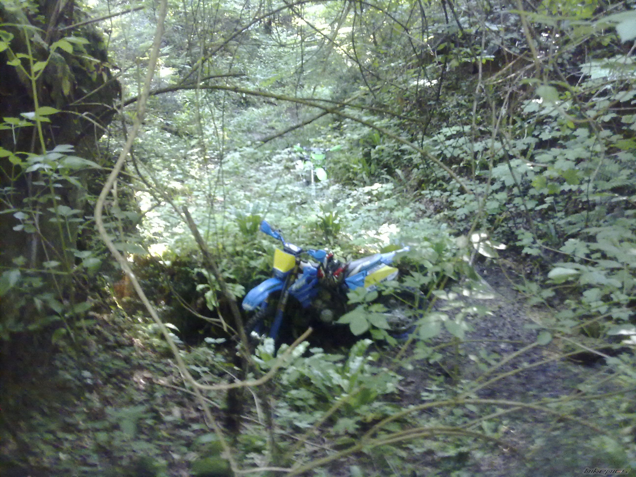 Photo 1686869