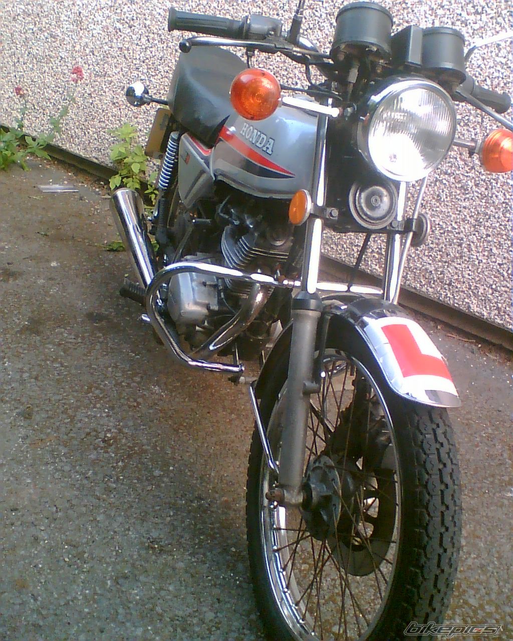 Photo 1686969