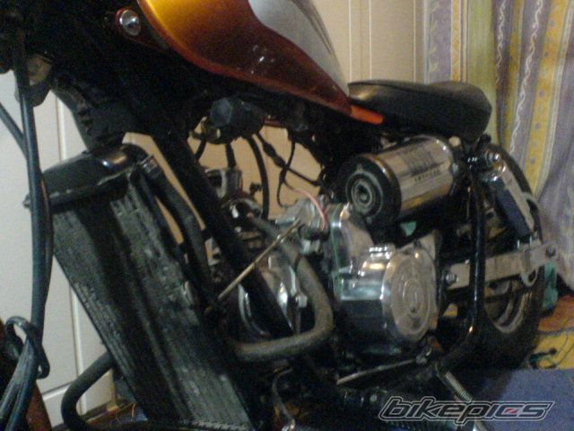 Photo 1686992