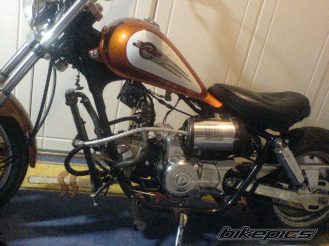 Photo 1686993
