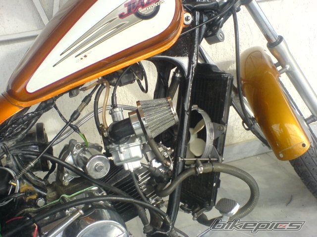 Photo 1686996