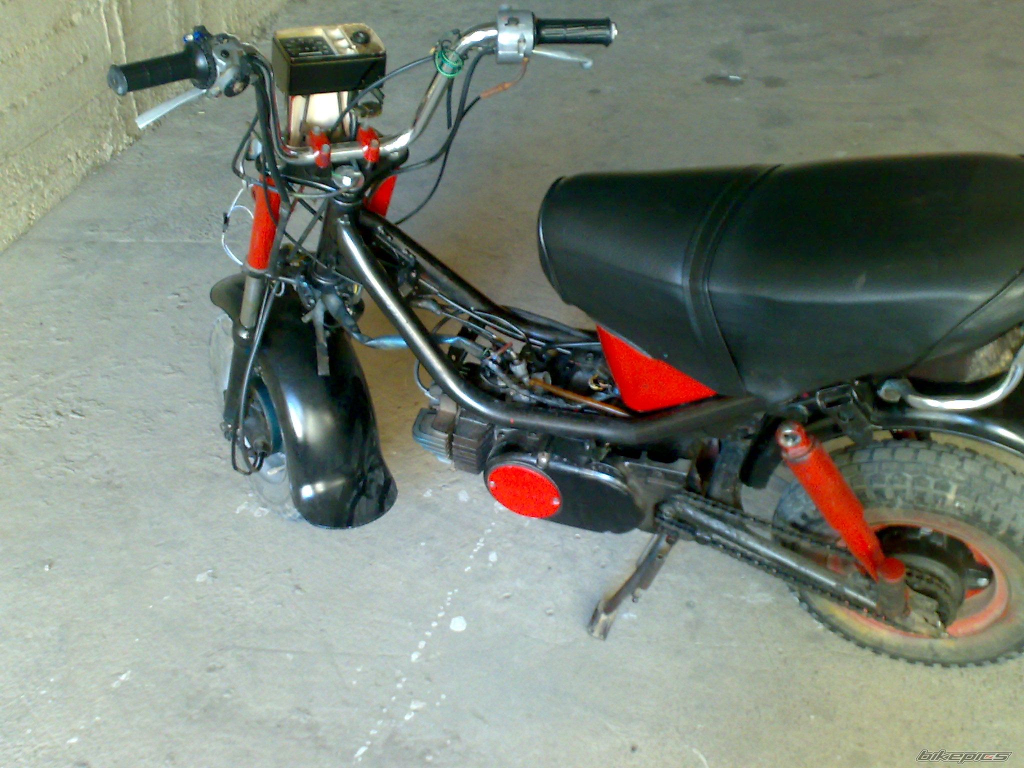 Photo 1687003