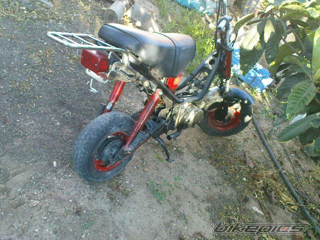 Photo 1687006