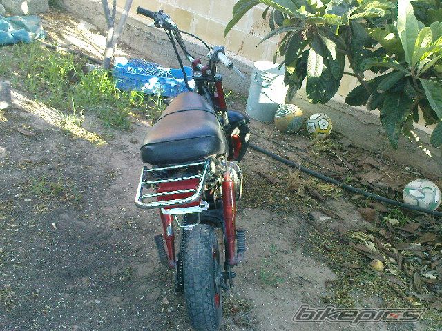 Photo 1687007