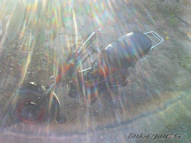 Photo 1687009