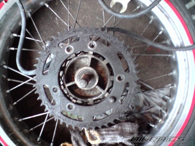 Photo 1687013