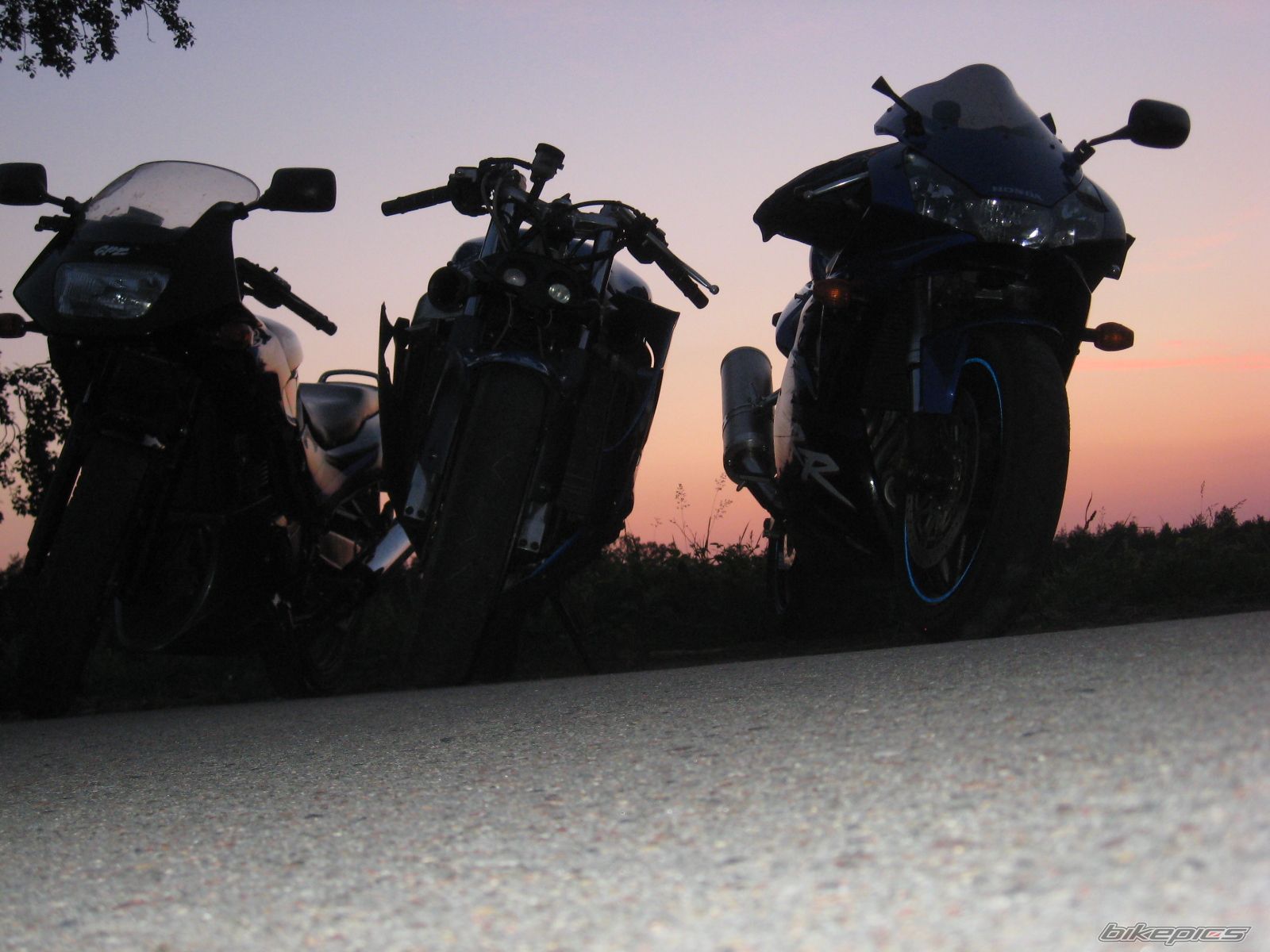 Photo 1687058