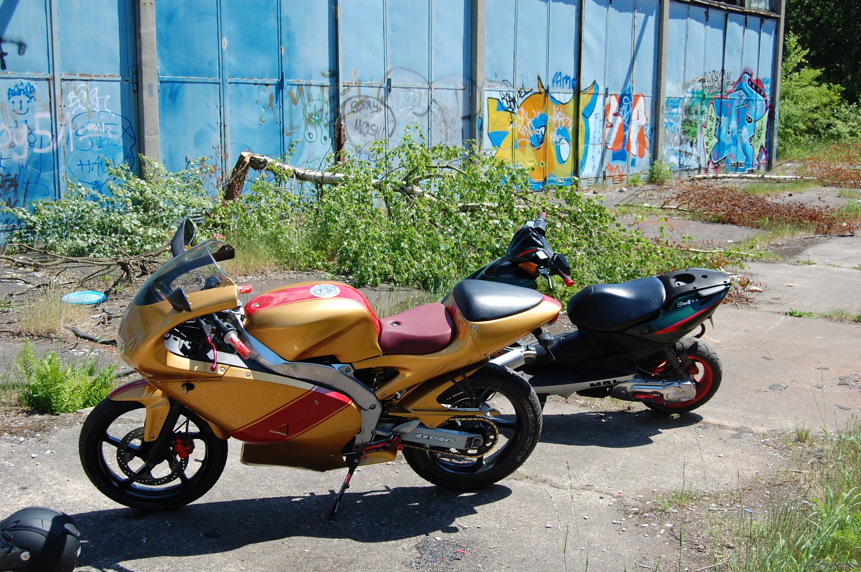 Photo 1687076