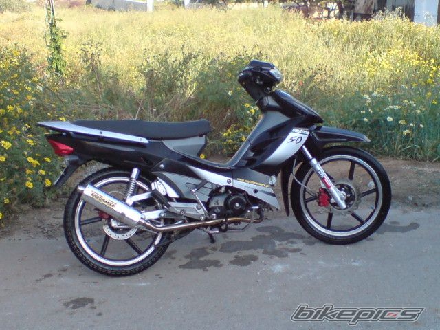 Photo 1687093