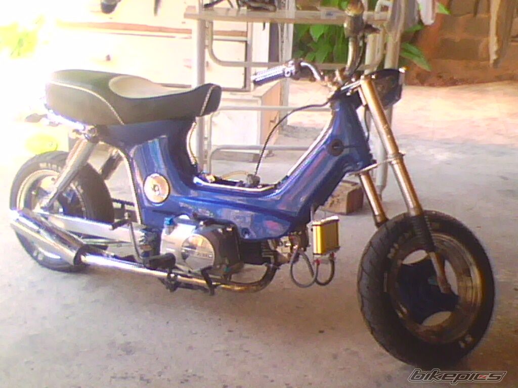 Photo 1687238