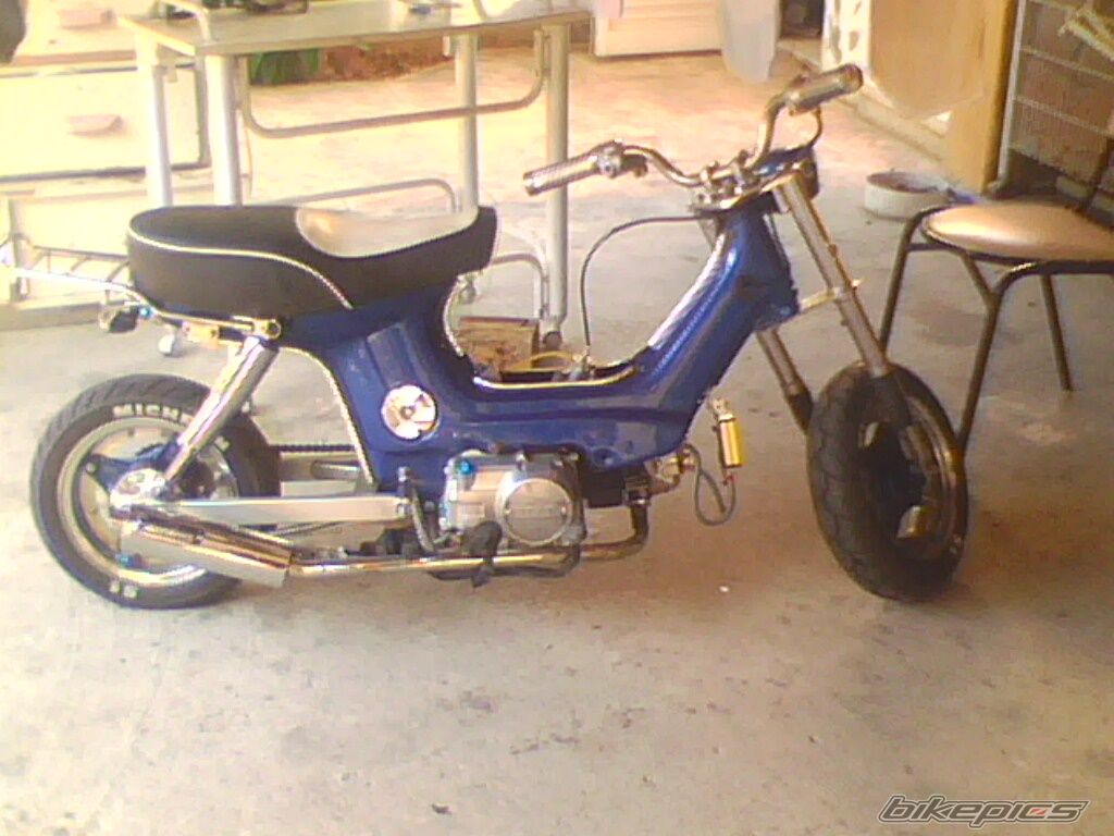 Photo 1687239