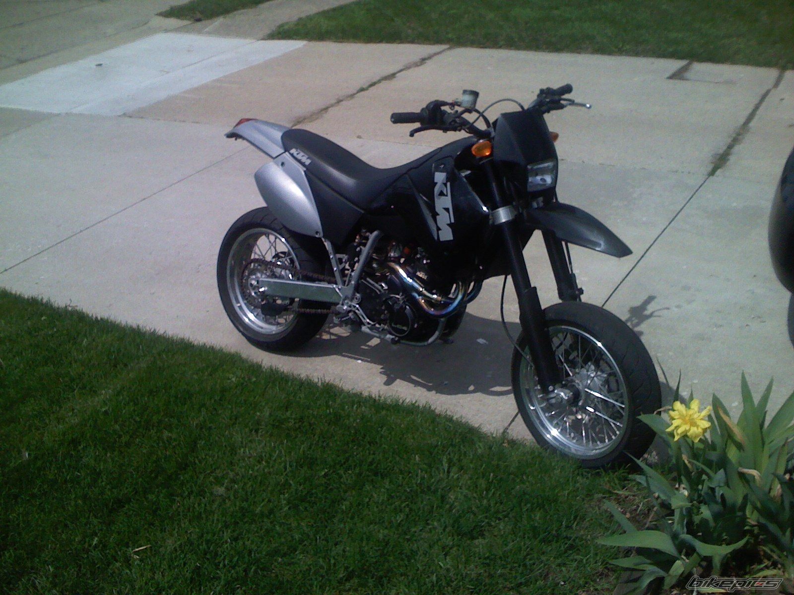 Photo 1687248
