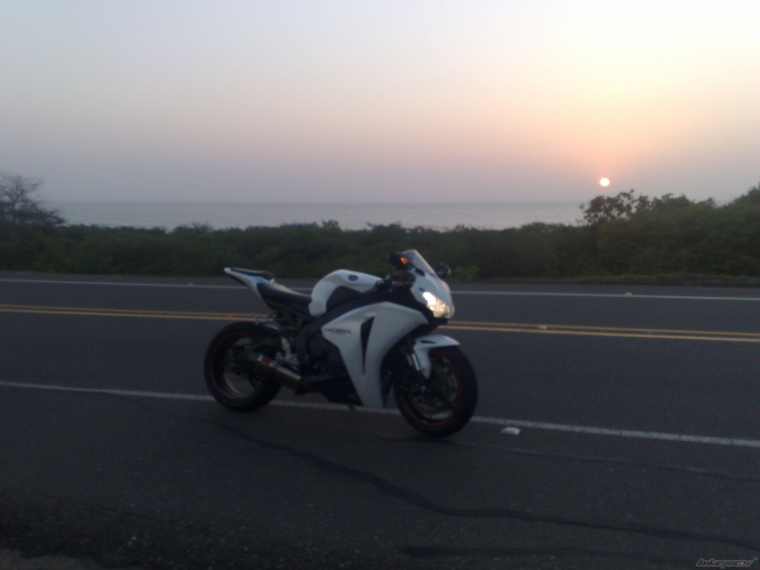 Photo 1687264