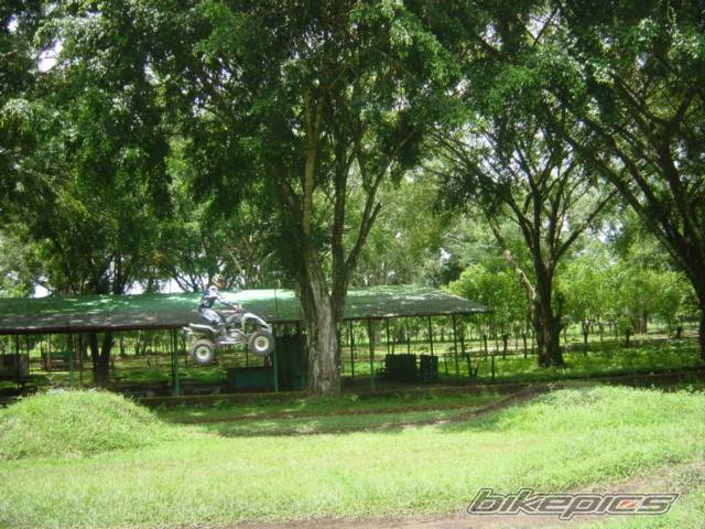 Photo 168732