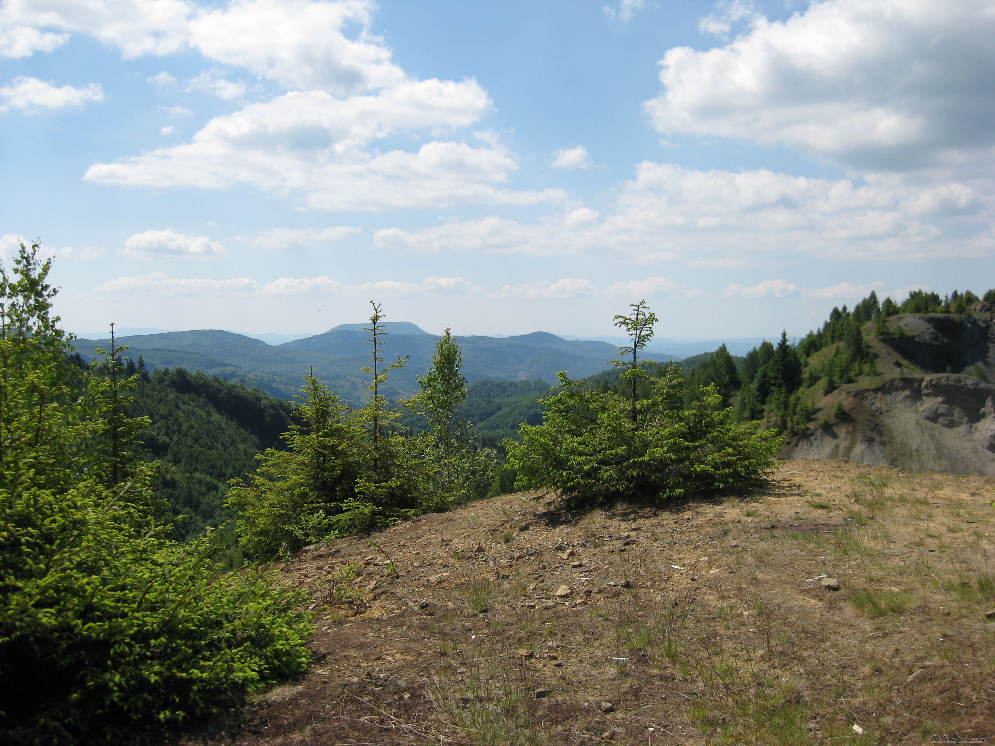 Photo 1687342