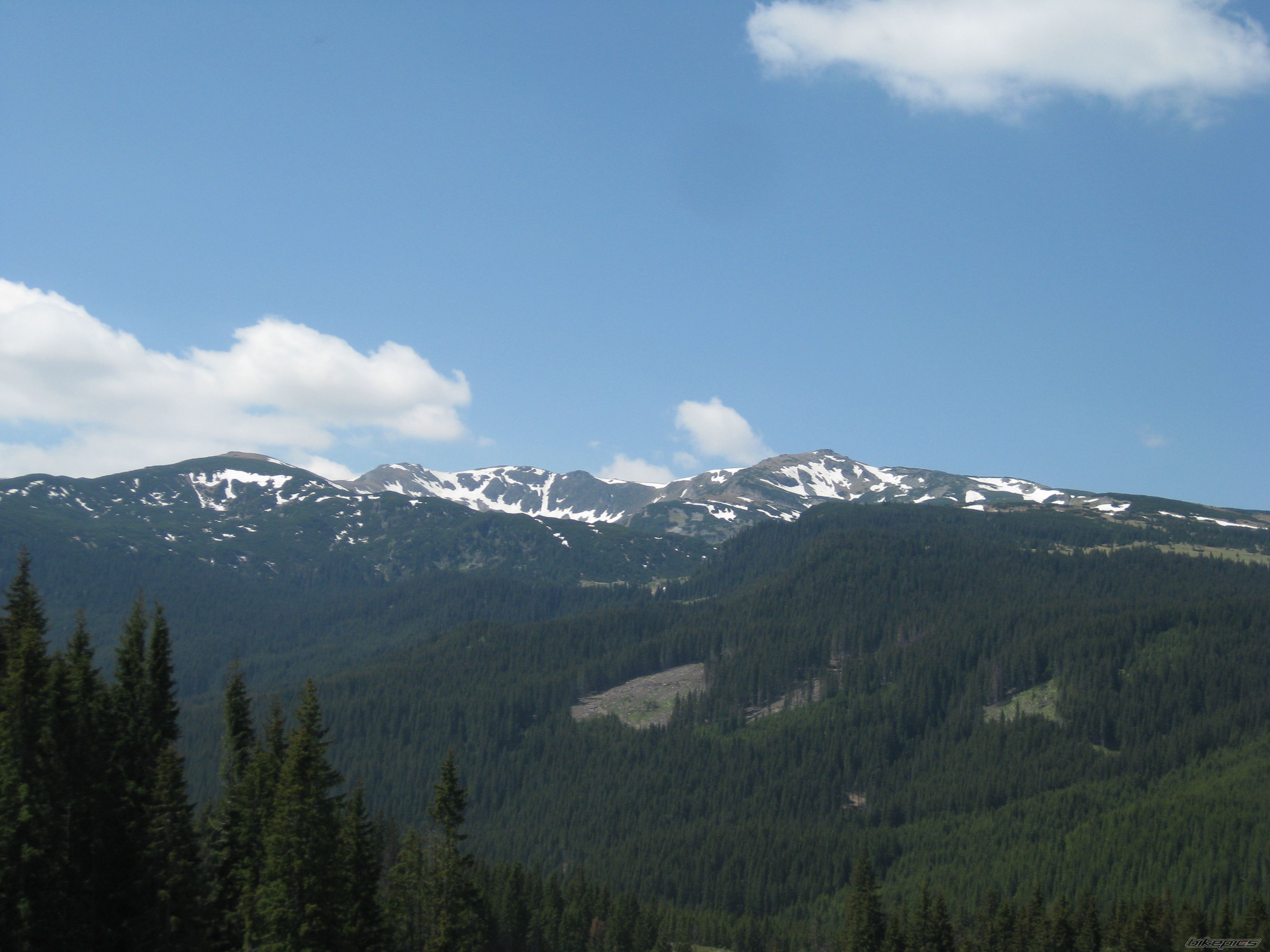Photo 1687348