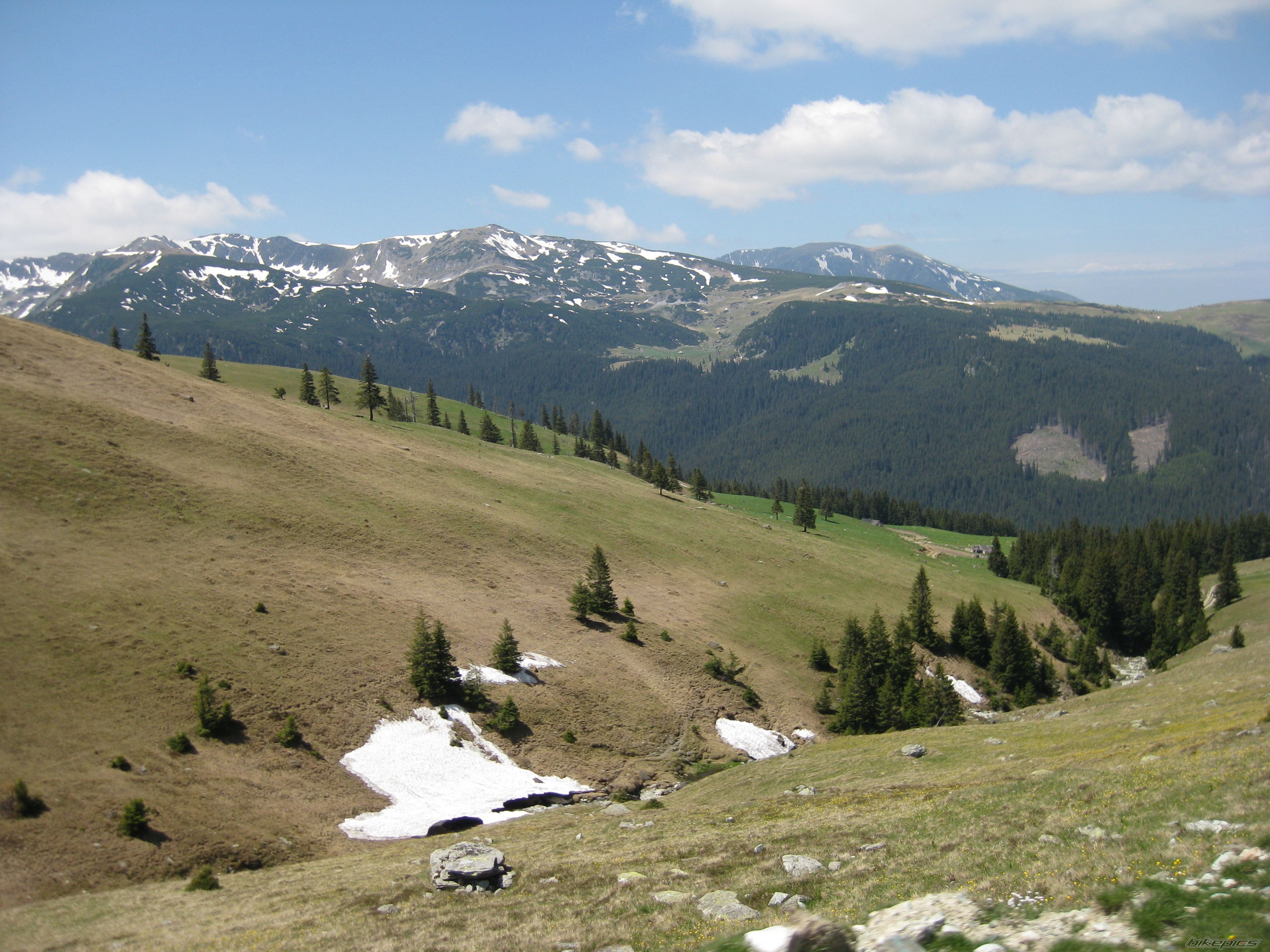 Photo 1687357