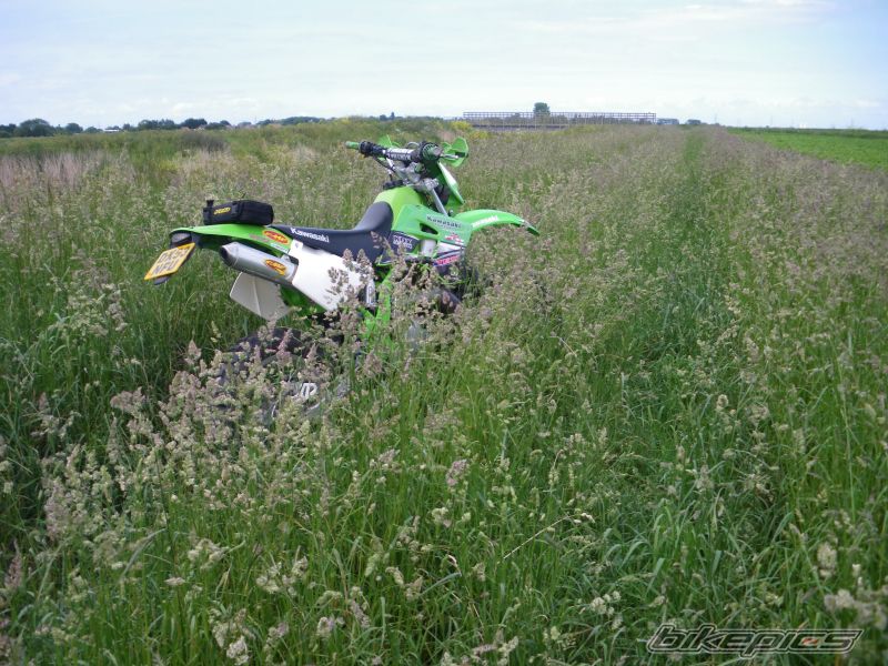 Photo 1687364