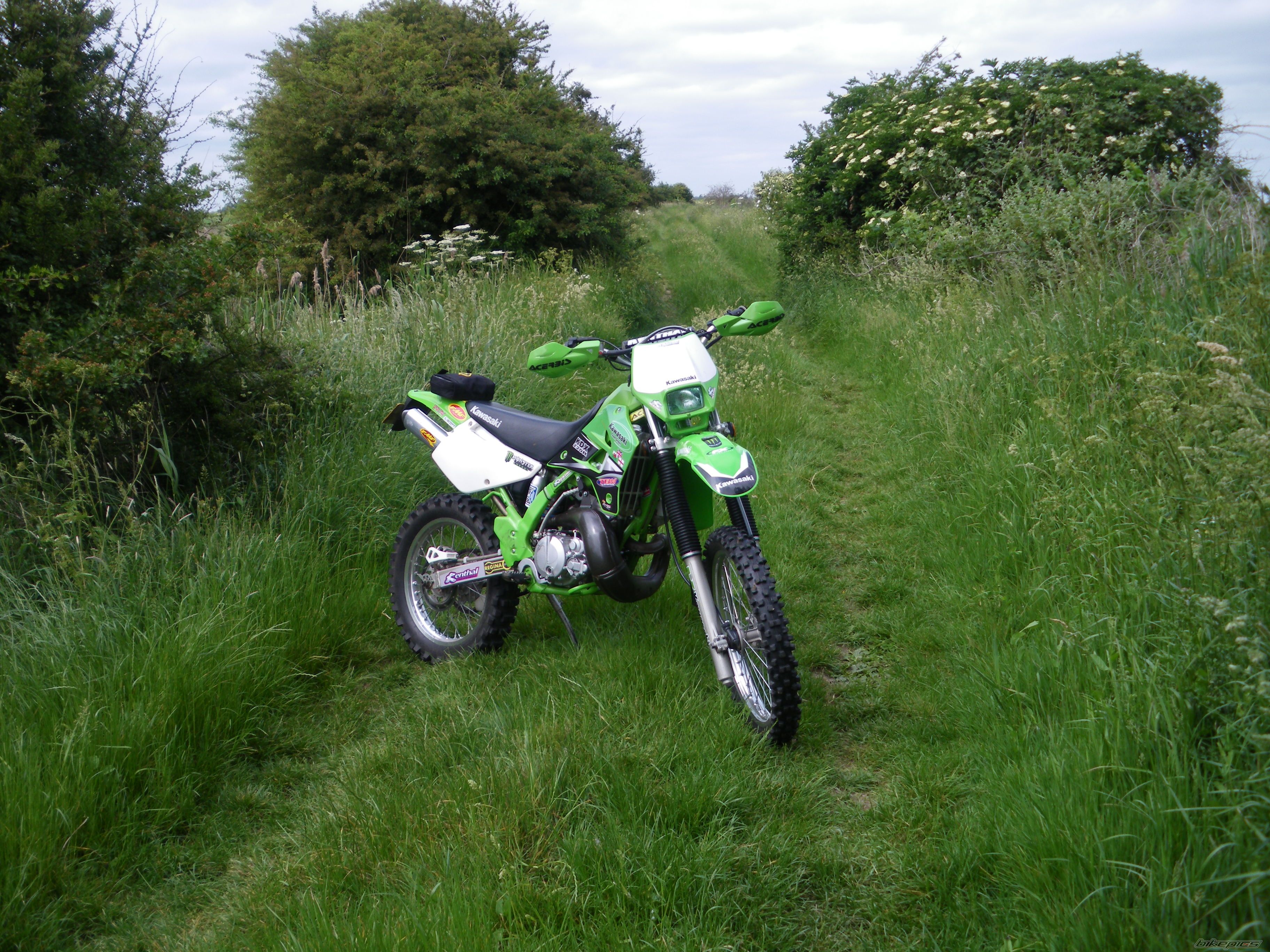 Photo 1687365