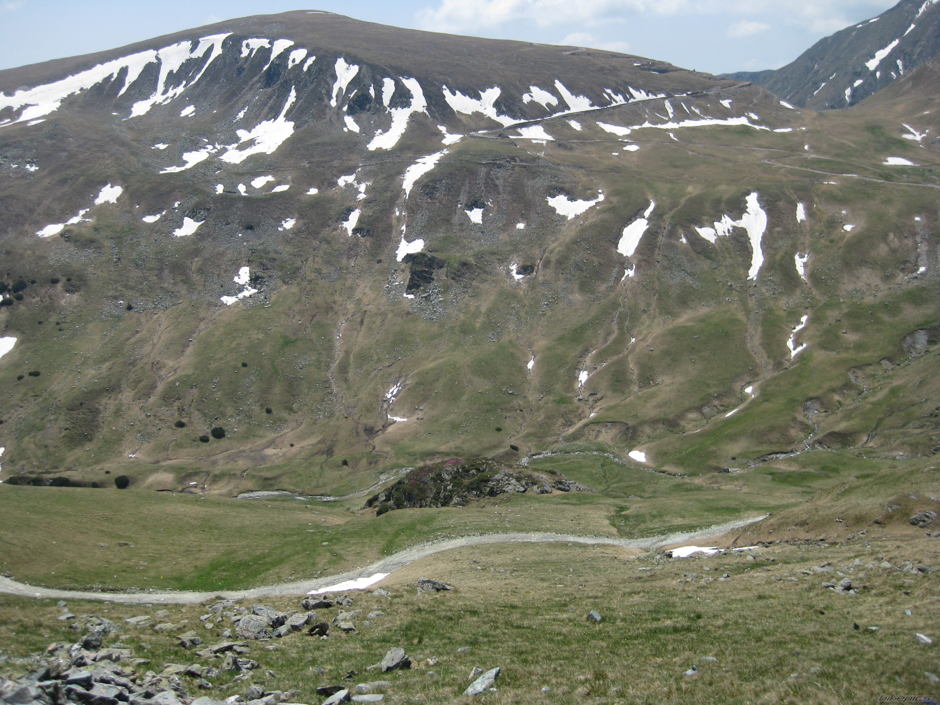Photo 1687368