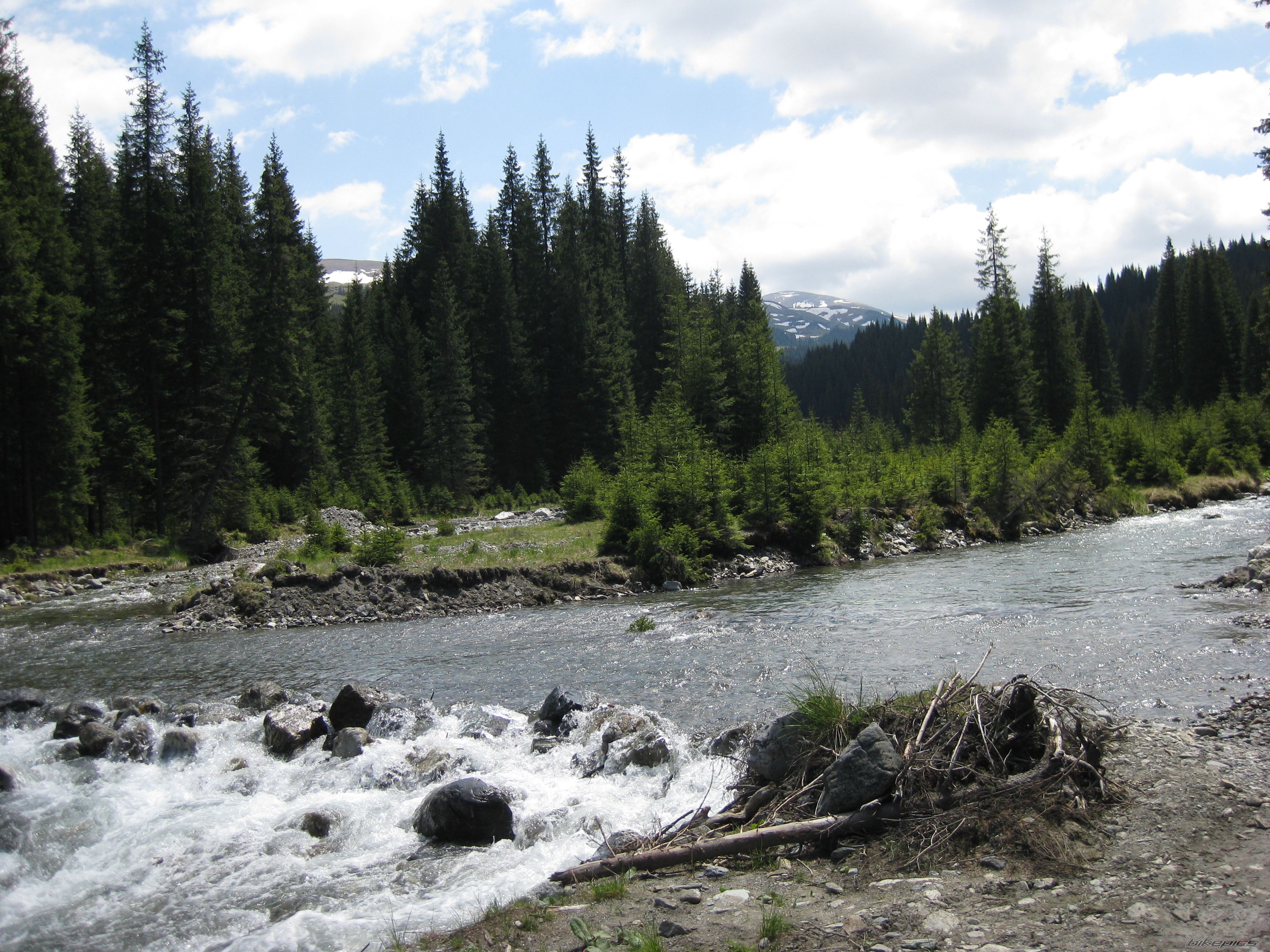 Photo 1687372
