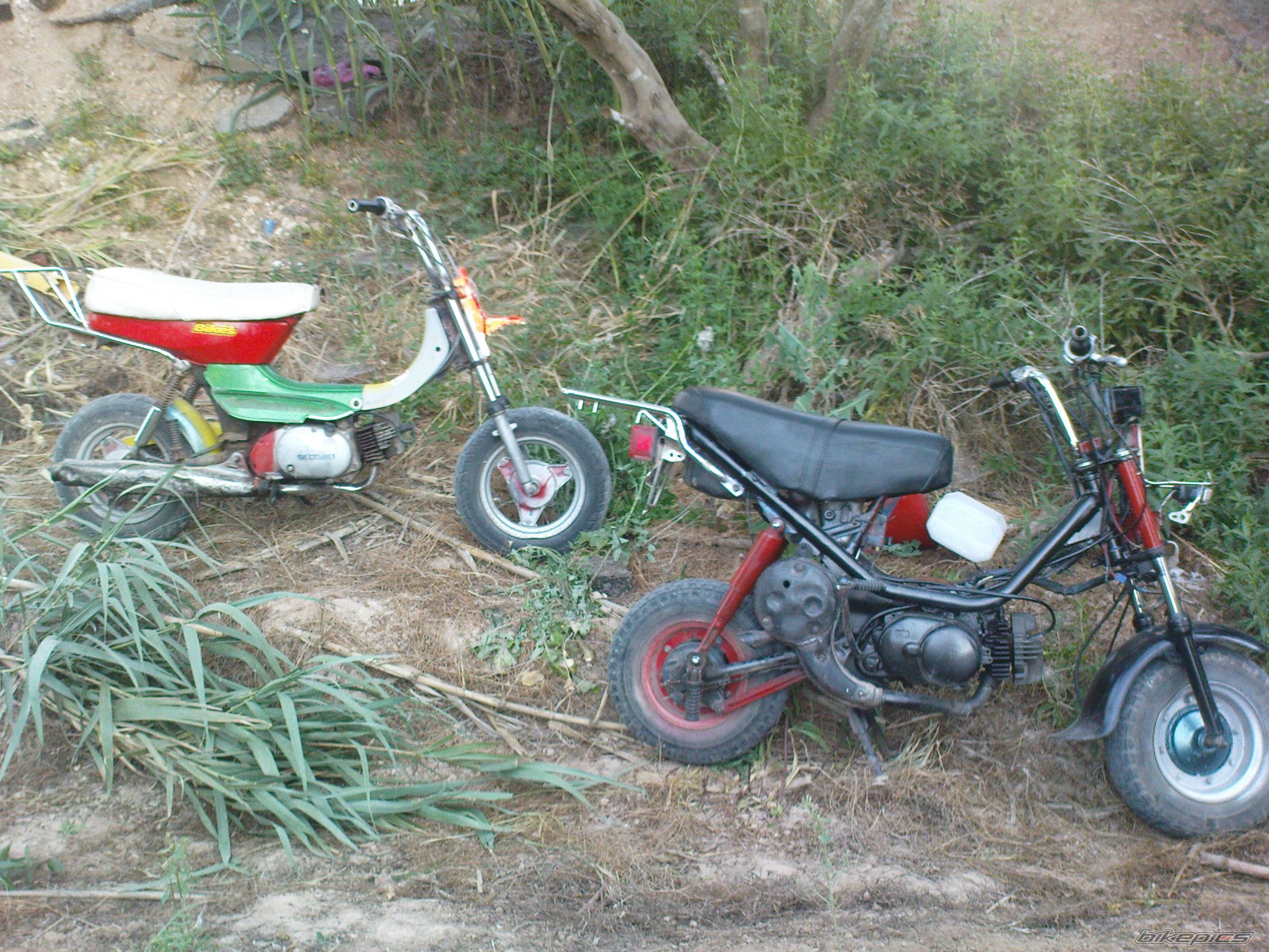 Photo 1687404