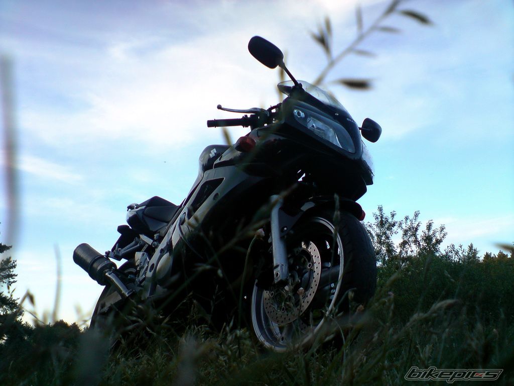 Photo 1687413